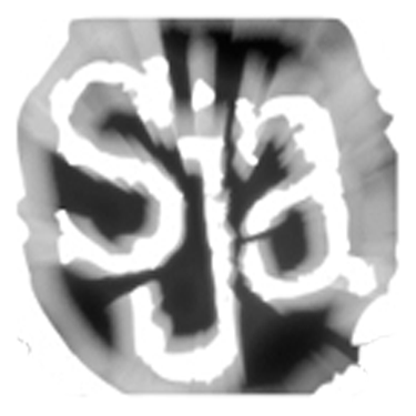 SJA circle logo.png