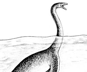 Plesiosaurus.jpg