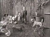 Seen from another angle, the boy continues to walk through the garden, moving towards the exit.