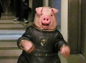 DWFC Space Pig.jpg