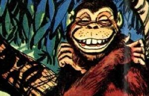 SmilingMonkey.jpg