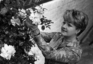 Joan Sims.jpg