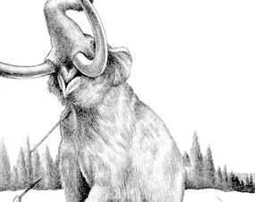 Speared Mastodon.jpg