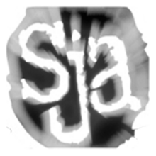 SJA circle logo.png