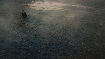 The child notices that he is standing in a field of Handmines.