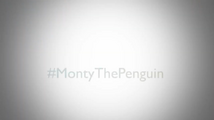 The hashtag #MontyThePenguin appears.