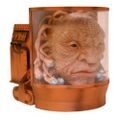 Face of Boe