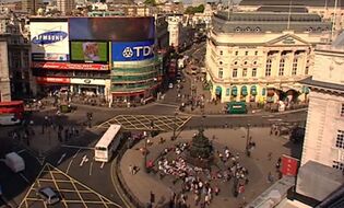 Piccadilly Circus Rose.jpg