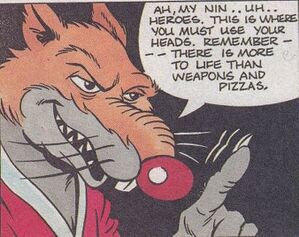 Master Splinter closeup.jpg