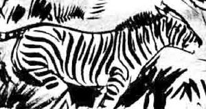 Zebra.jpg