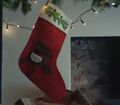 Reindeer stocking.jpg