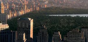 Central-park.jpg