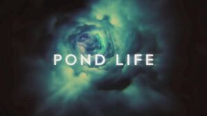 Pond Life titles.jpg