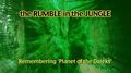 The Rumble in the Jungle.jpg]]