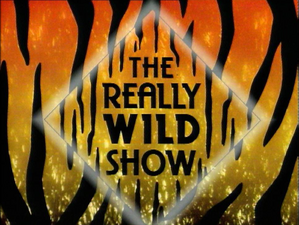 The Really Wild Show title card.png