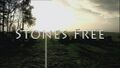 Stones Free