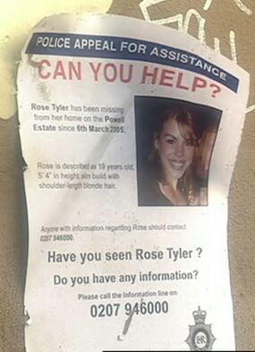 Rose missing poster.jpg