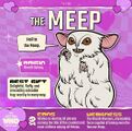 The Meep