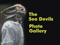 The Sea Devils Photo Gallery