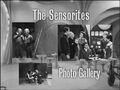 The Sensorites Photo Gallery