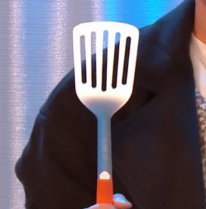 Sonic spatula.png