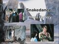 Snakedance Photo Gallery