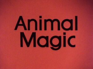 Animal Magic.jpg