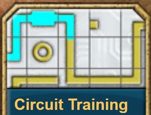 Circuit Training2.jpg