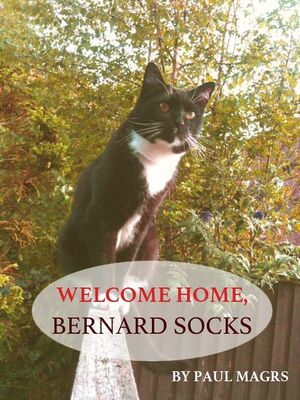 Welcome Home, Bernard Socks.jpg