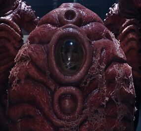 Zygon Pod.jpg