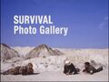 Survival Photo Gallery