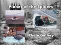 Planet of the Spiders Photo Gallery