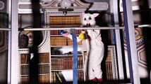 The Easter Bunny at the TARDIS library.