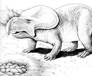 Protoceratops.jpg