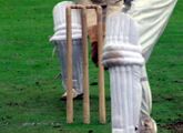 Cricket stumps